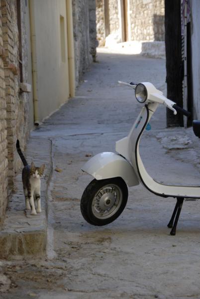 Angehängte Bilder: Chios 2011 (286).JPG